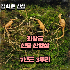 산종산양삼 최상급  7년근 3뿌리 선물용 4마디