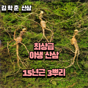 야생산삼 최상급 15년근 3뿌리 선물용 뇌두 12마디