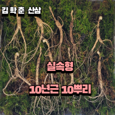 실속형 산종산양삼 10년근10뿌리 뇌두 7마디
